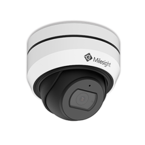 H.265 Vandal-proof Mini Dome Kamera 5MP