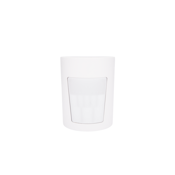 MP-802 PG+ PIR 868MHz -2-Vejs